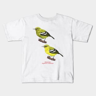 Green iora | Aegithina viridissima ⚥ Kids T-Shirt